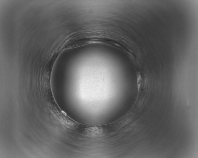 X0000077370421200610201356