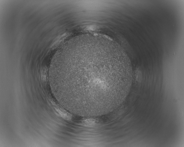 X0000077370423200610201356