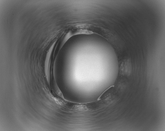 X0000077370424200610201355