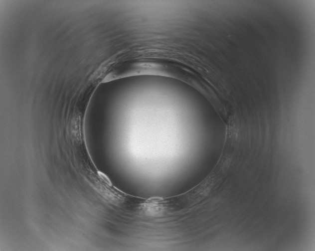 X0000077370425200610201355