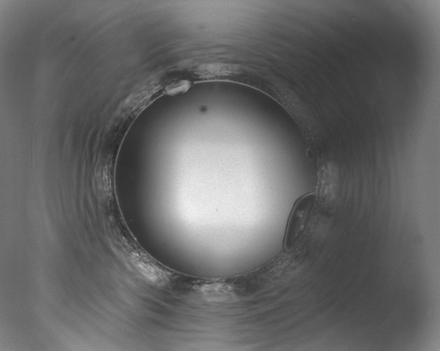 X0000077370426200610201355