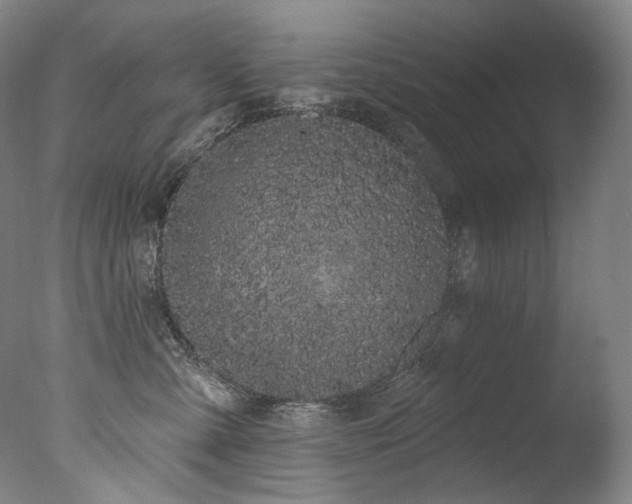 X0000077370427200610201355