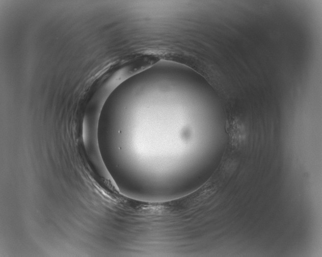 X0000077370428200610201355