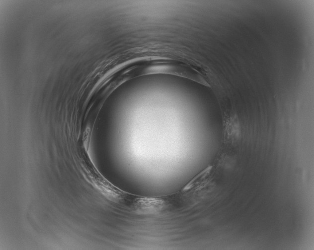 X0000077370429200610201355