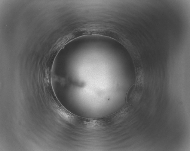 X0000077370430200610201355