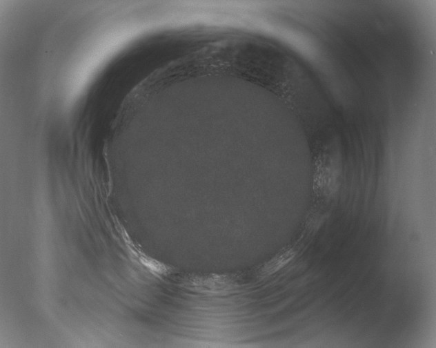 X0000077370431200610201355