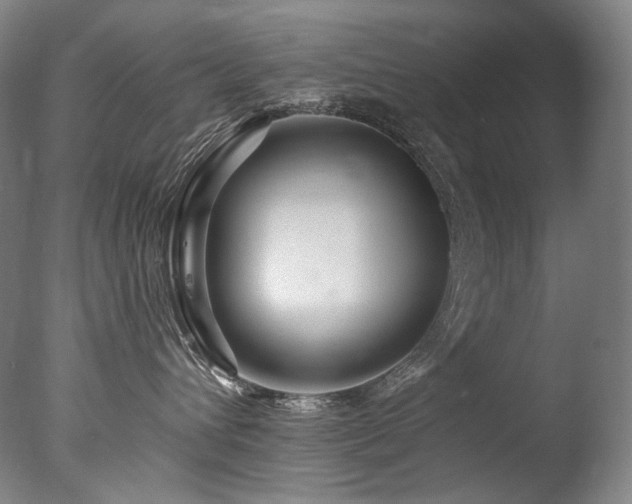 X0000077370432200610201355