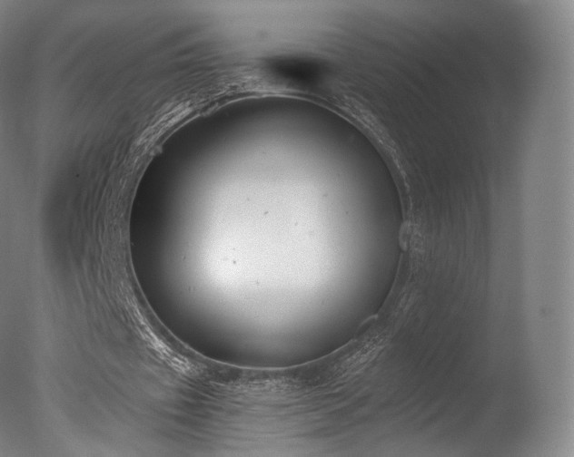 X0000077370433200610201353