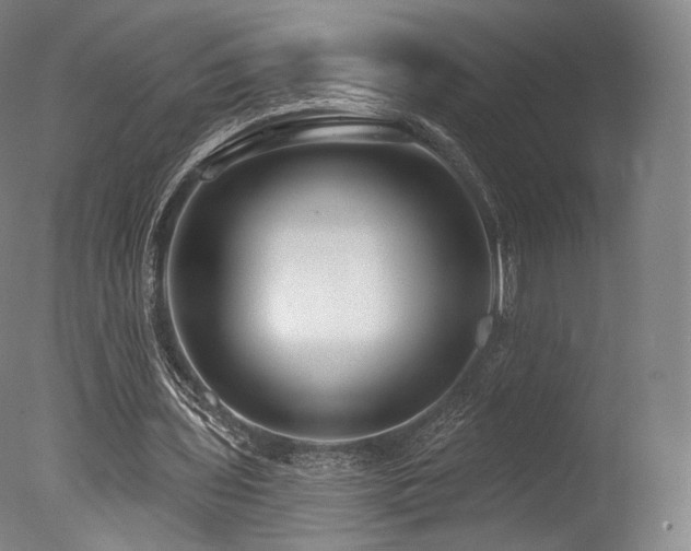 X0000077370435200610201353