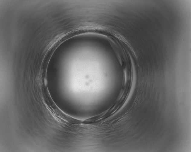 X0000077370436200610201353