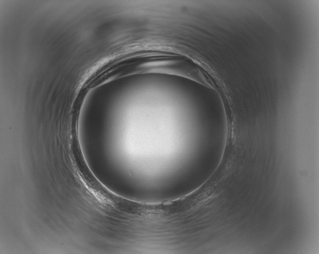 X0000077370438200610201353