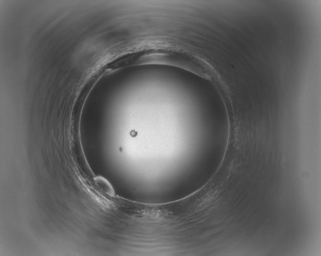 X0000077370439200610201353