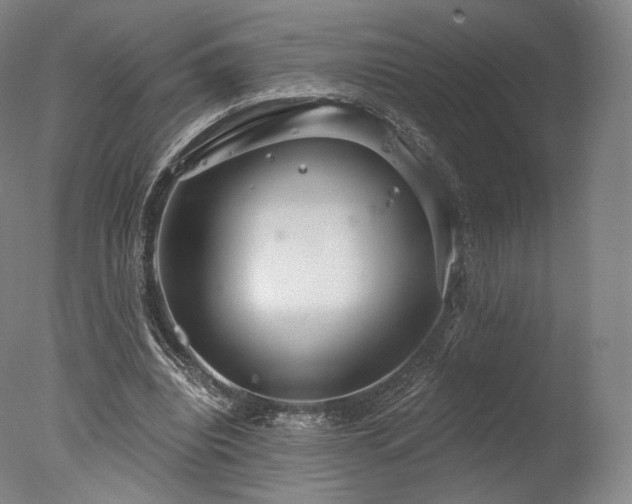 X0000077370440200610201353