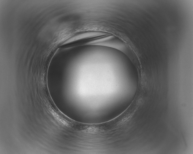 X0000077370441200610201353