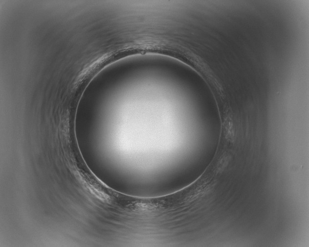 X0000077370442200610201353