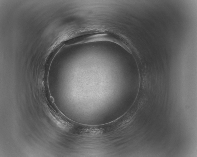 X0000077370443200610201353