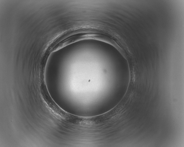 X0000077370444200610201353