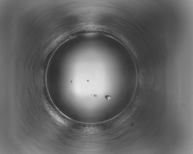 X0000077370445200610201353