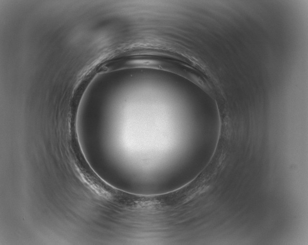 X0000077370446200610201353