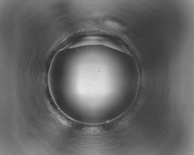 X0000077370449200610201353