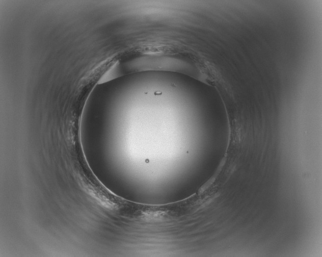 X0000077370450200610201353