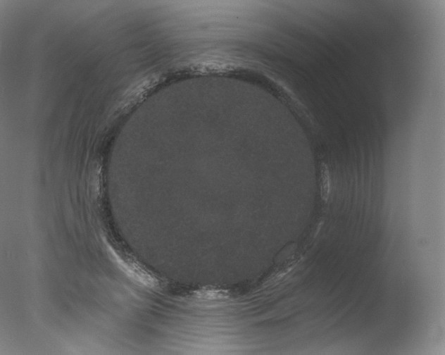 X0000077370451200610201353