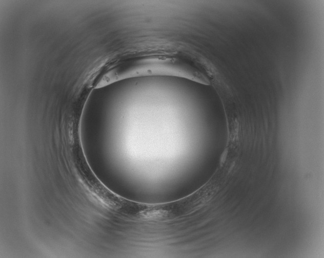 X0000077370452200610201353