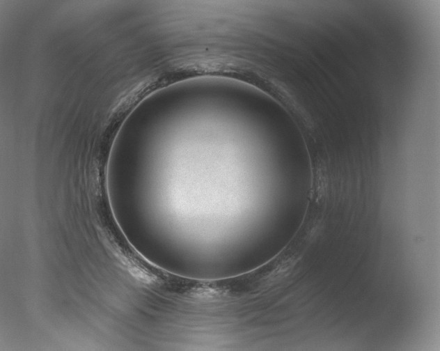 X0000077370453200610201353