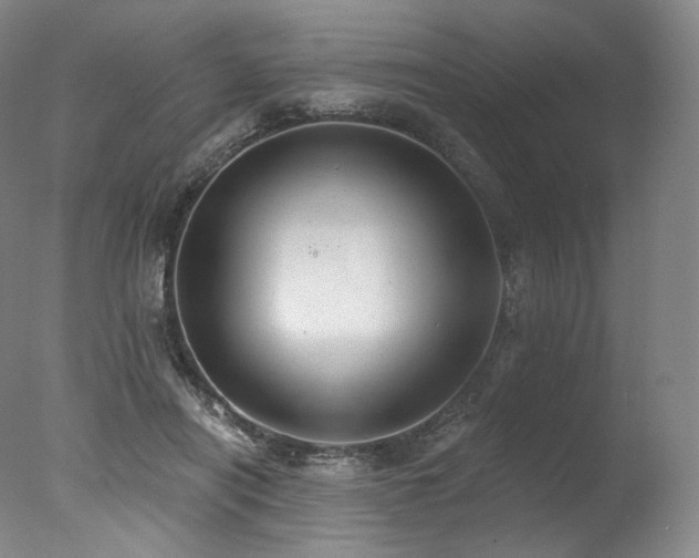 X0000077370454200610201353