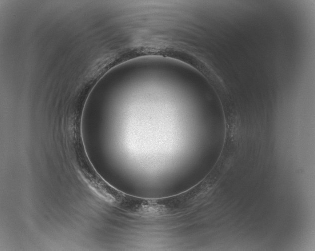 X0000077370455200610201353