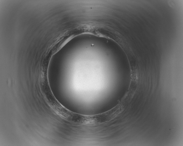 X0000077370456200610201353