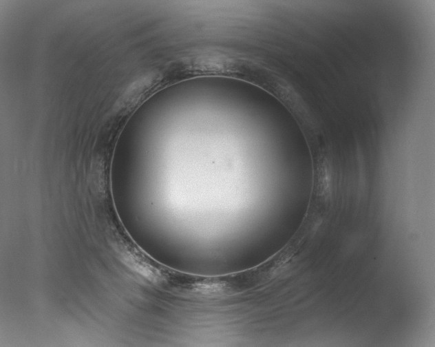 X0000077370457200610201354