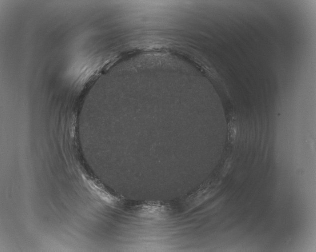 X0000077370458200610201354