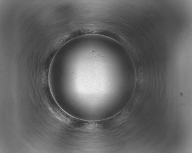 X0000077370459200610201354