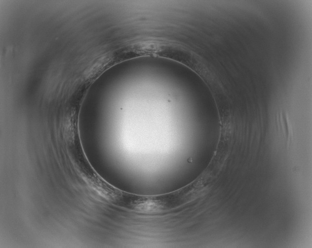 X0000077370460200610201354