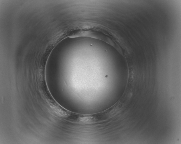 X0000077370461200610201354