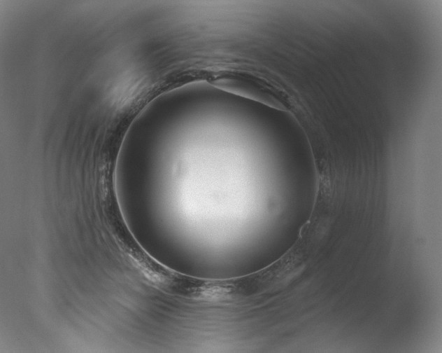 X0000077370462200610201354