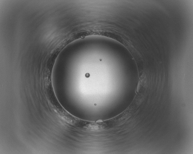 X0000077370464200610201354