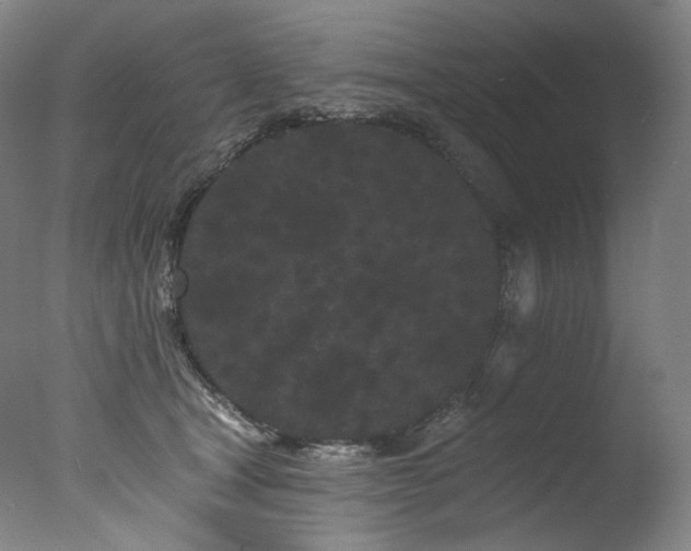 X0000077370465200610201354