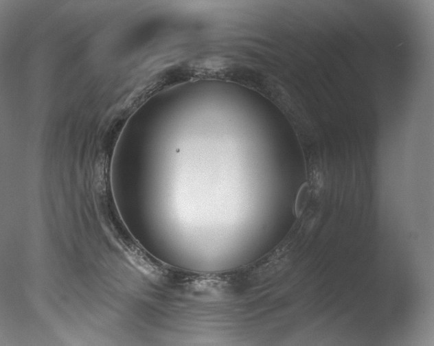 X0000077370468200610201355