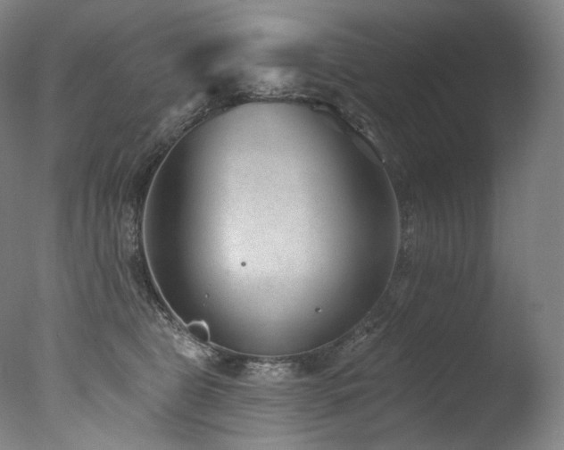 X0000077370469200610201355