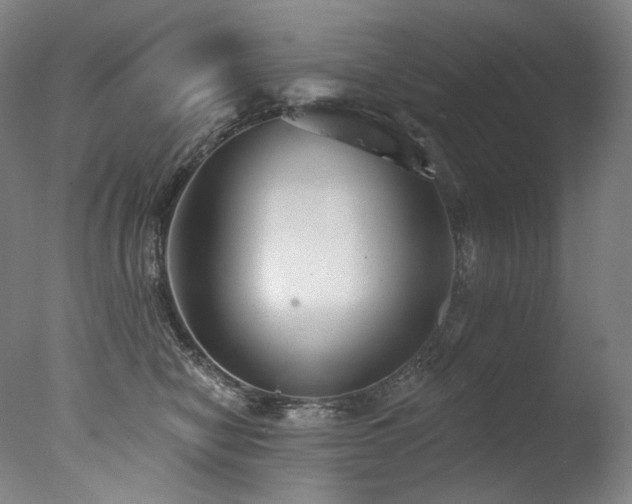 X0000077370470200610201355