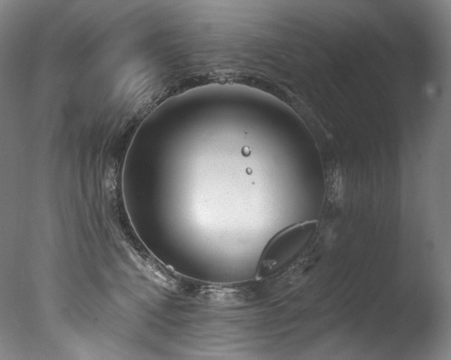 X0000077370472200610201355