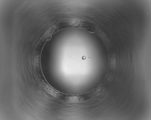 X0000077370473200610201355