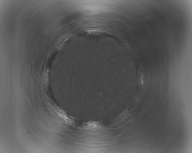 X0000077370475200610201355