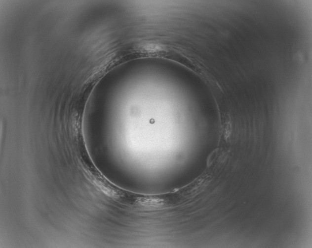 X0000077370476200610201355