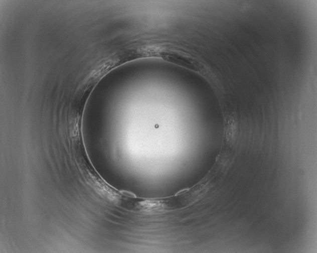 X0000077370477200610201355