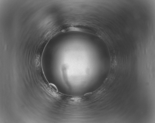 X0000077370478200610201355