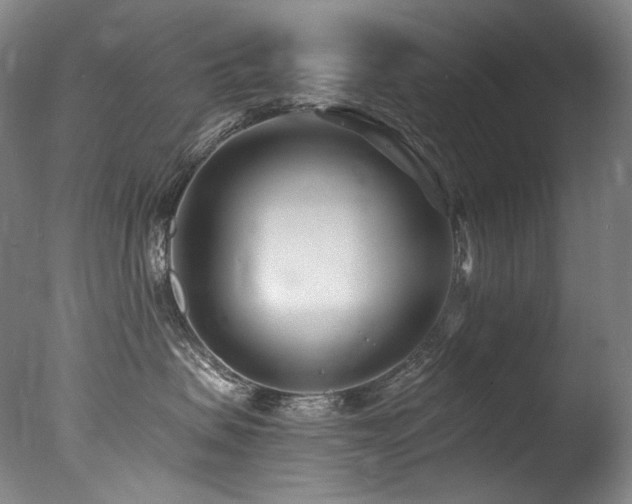 X0000077370479200610201355