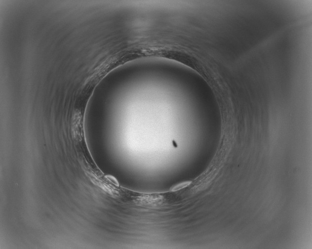 X0000077370480200610201355